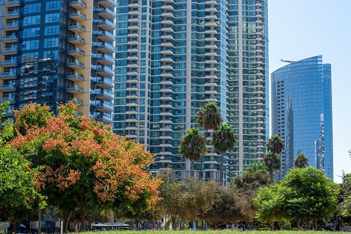 Thẻ Alt (Alt Text): Dịch chuyển từ văn hóa nhà đất sang văn hóa căn hộ chung cư hiện đại Berkeley Vietnam
